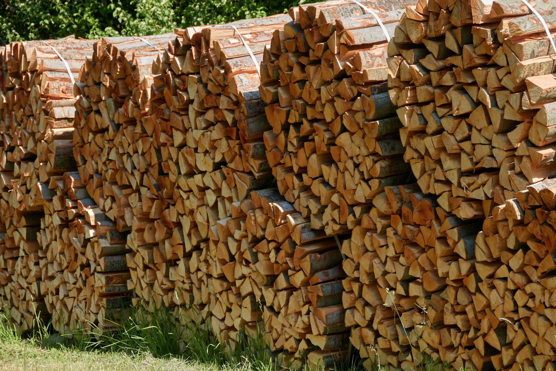 Stacked bundles of cut, light-brown firewood arranged in circular rows outdoors on a sunny day.