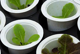 Hydroponic systems