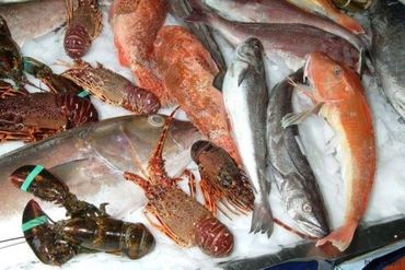 Crostacei e pesci freschi