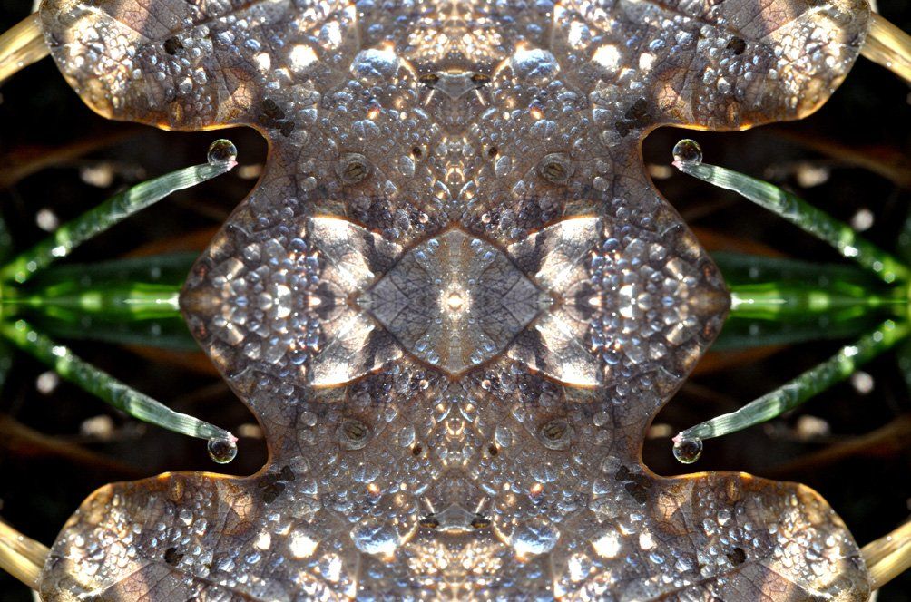 Fotografie der Künstlerin Benita von Wendt. Titel: Kaleidoskop. Die Fotografie besteht aus einer Fotomontage, durch Spiegelungen entsteht ein neues abstraktes Bild das an ein Kaleidoskop erinnert.