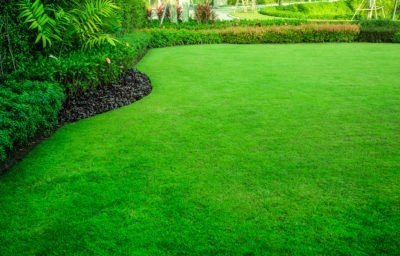 A beautifully manicured lawn with thick green grass