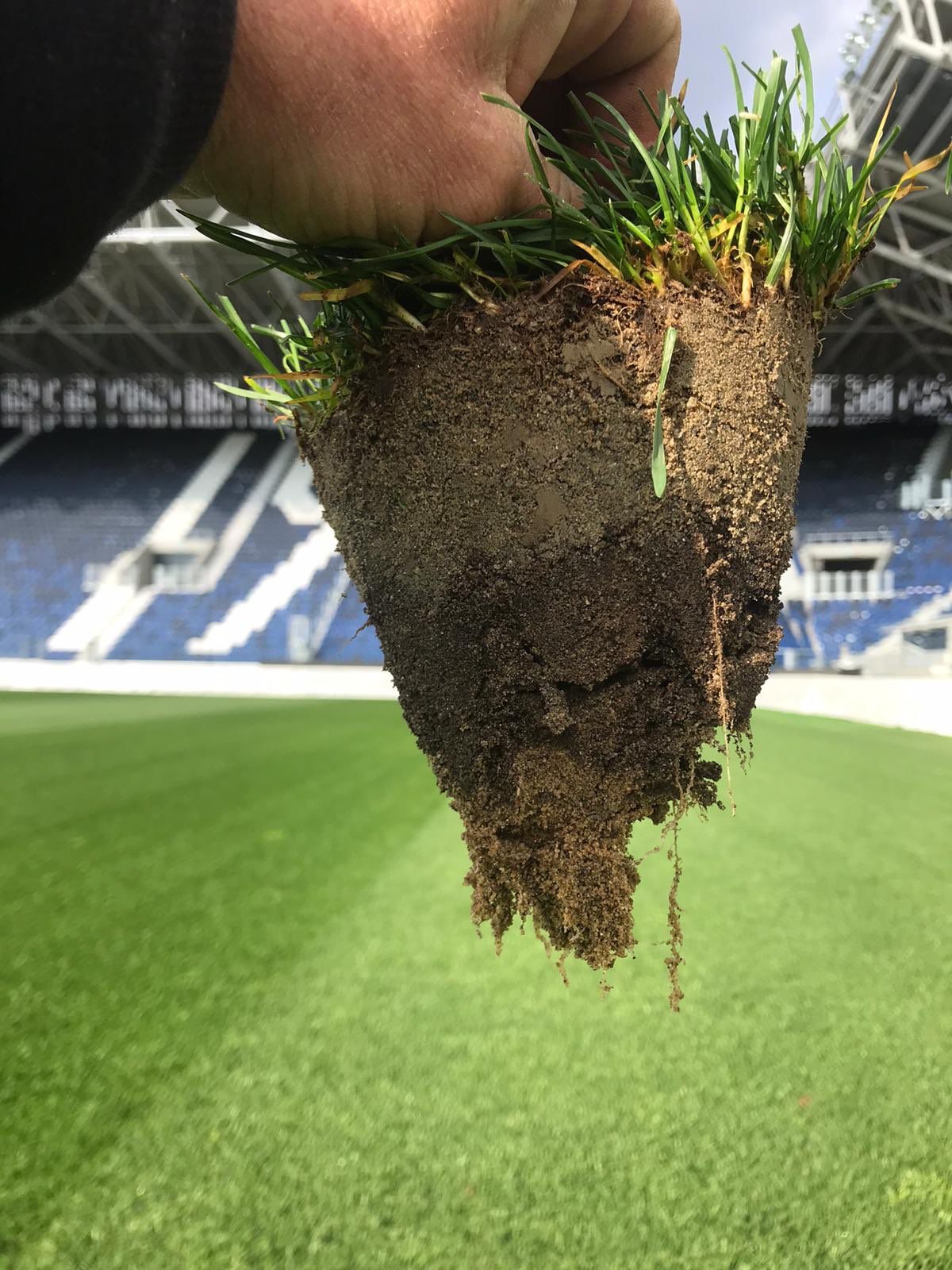 Thicker root structure