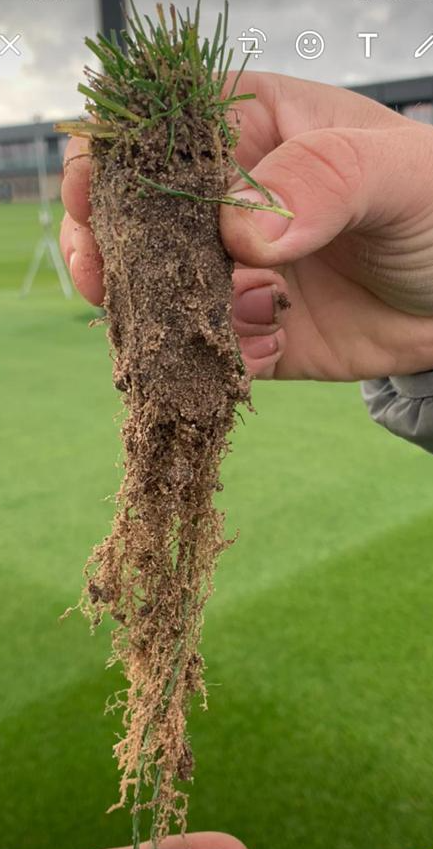 Thicker, lusher, more resilient grass for your turf