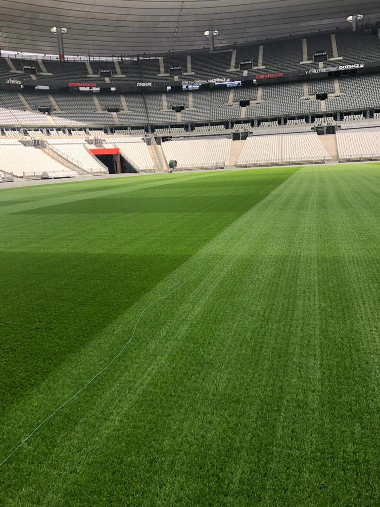 A stunning pitch treated with Prograss Bio Promote