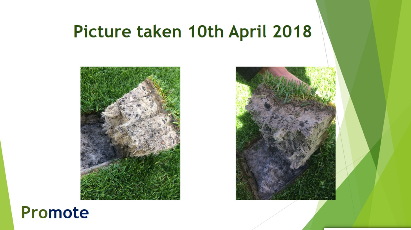 Grass roots picture taken 10th April
