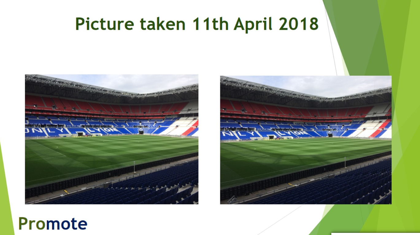 Grass roots picture taken 11th April