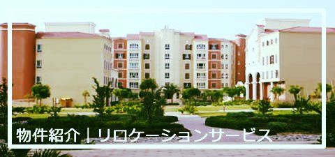 賃貸物件紹介サービス|ワイズ コンサルタンシー 賃貸物件紹介サービス|ワイズ コンサルタンシー