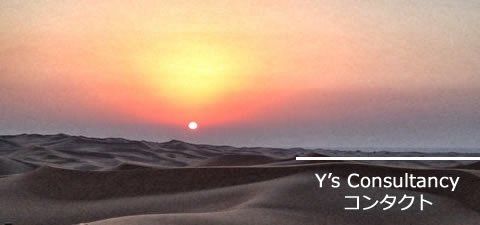Y's Consultancy コンタクト