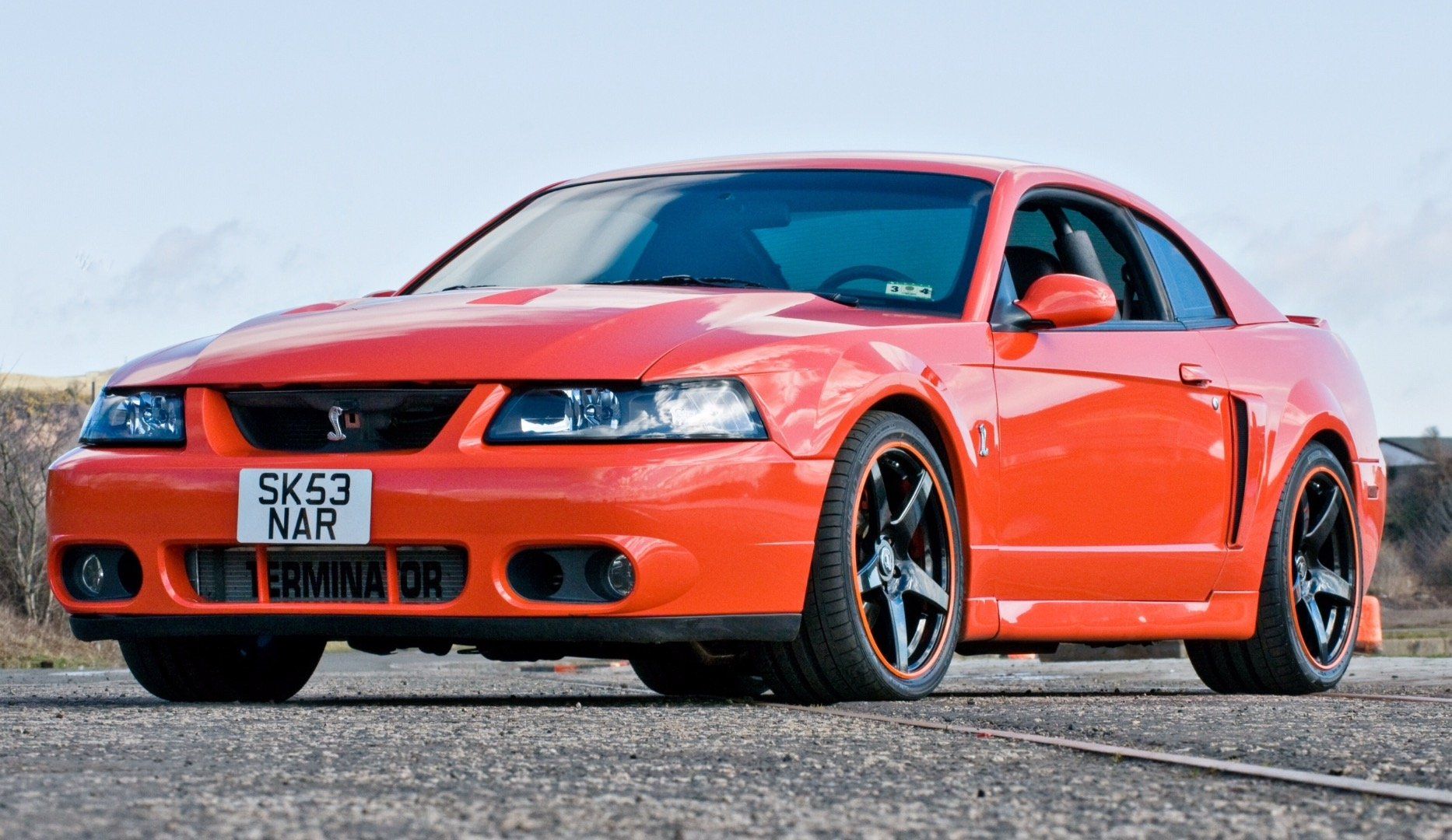 Mustang Terminator