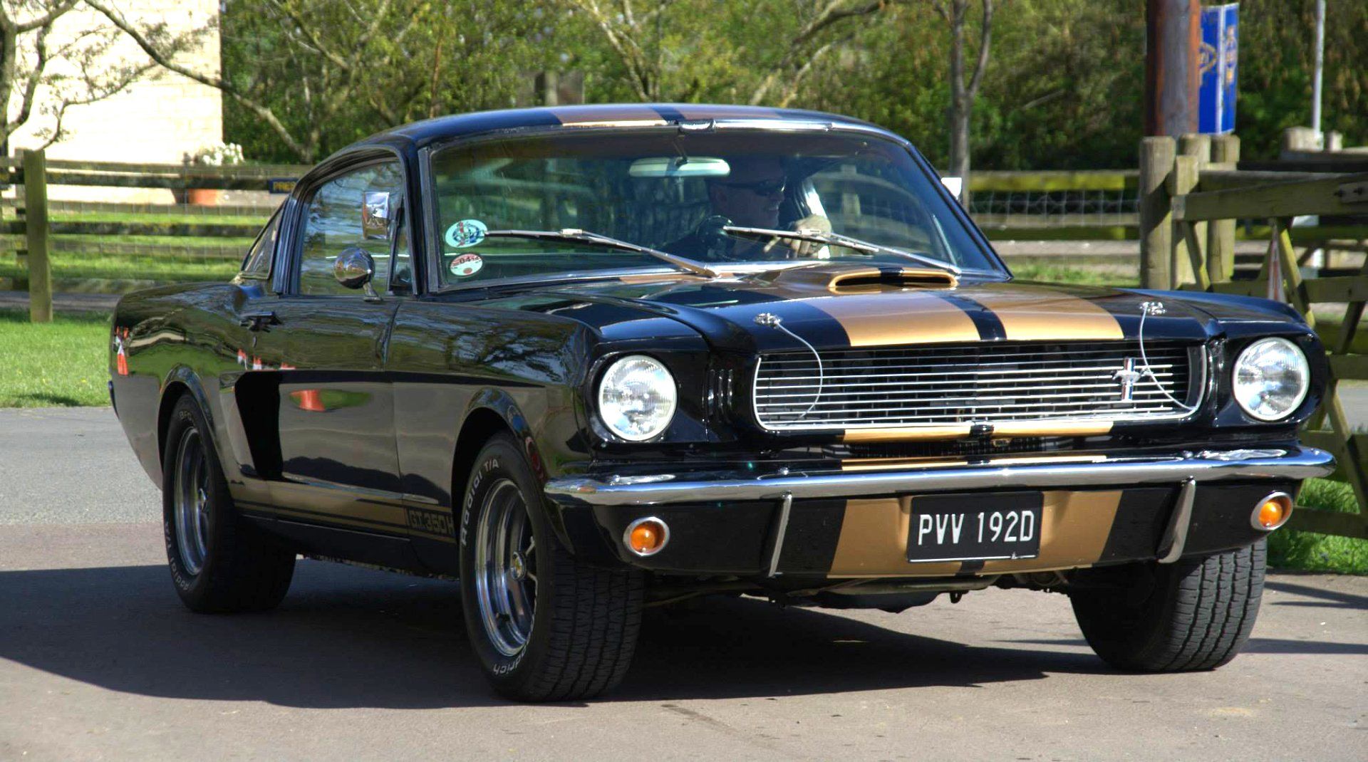 Mustang Hertz