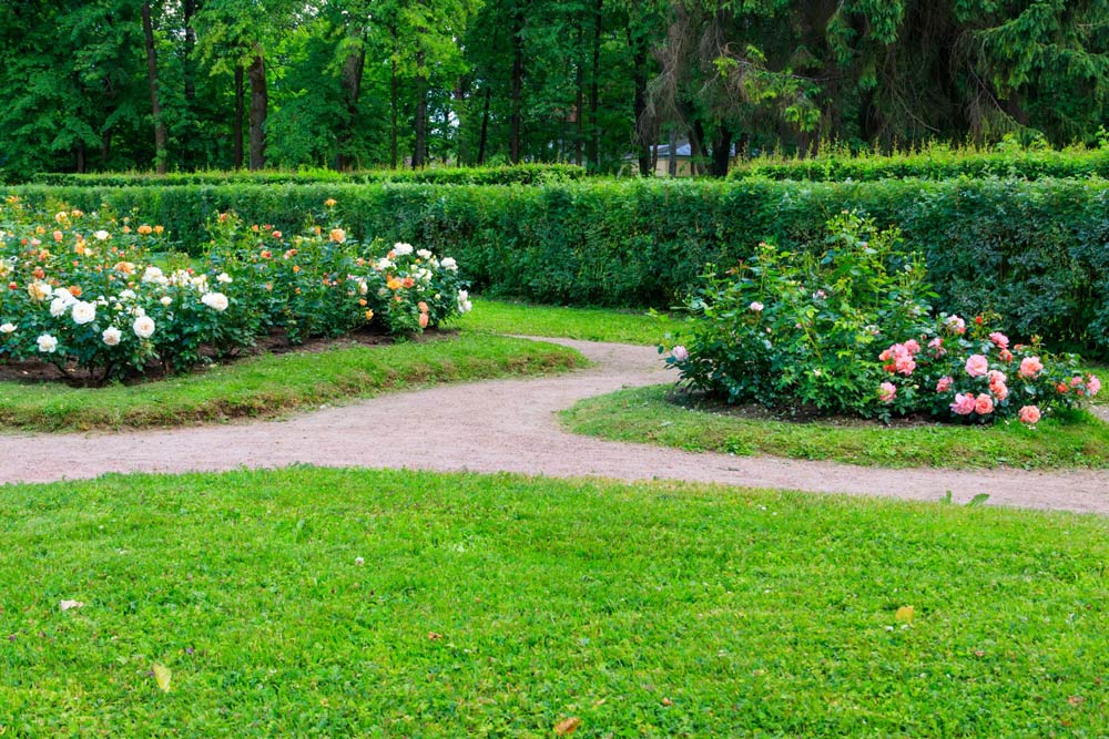 Flower Beds With Rose Bushes In Ornamental Garden — Avoca Garden Centre in Bundaberg, QLD