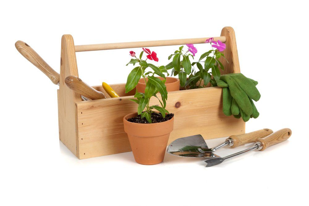 Gardener Tools And Plants — Avoca Garden Centre in Bundaberg, QLD Gardener Tools And Plants — Avoca Garden Centre in Bundaberg, QLD