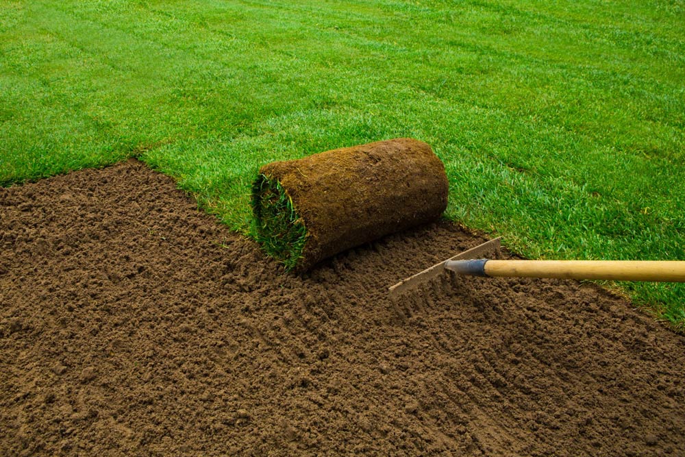 Gardener Applying Turf Rolls In The Backyard — Avoca Garden Centre in Bundaberg, QLD
