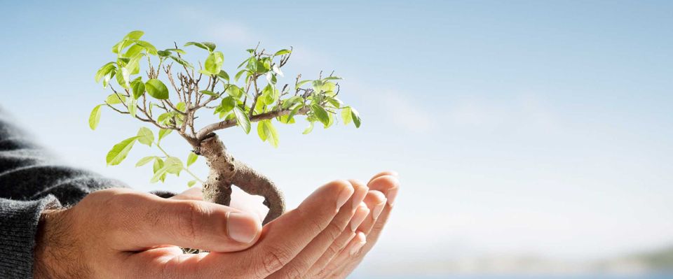 Counselling Services