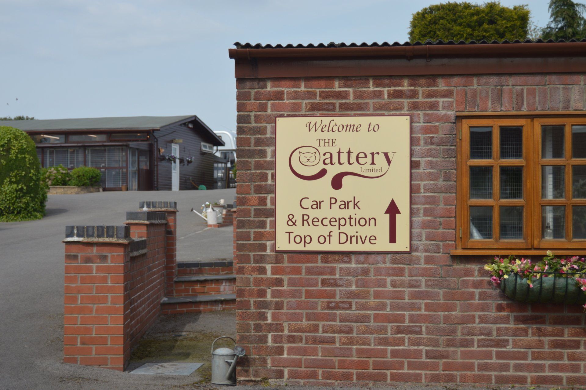 The Cattery photo example 10