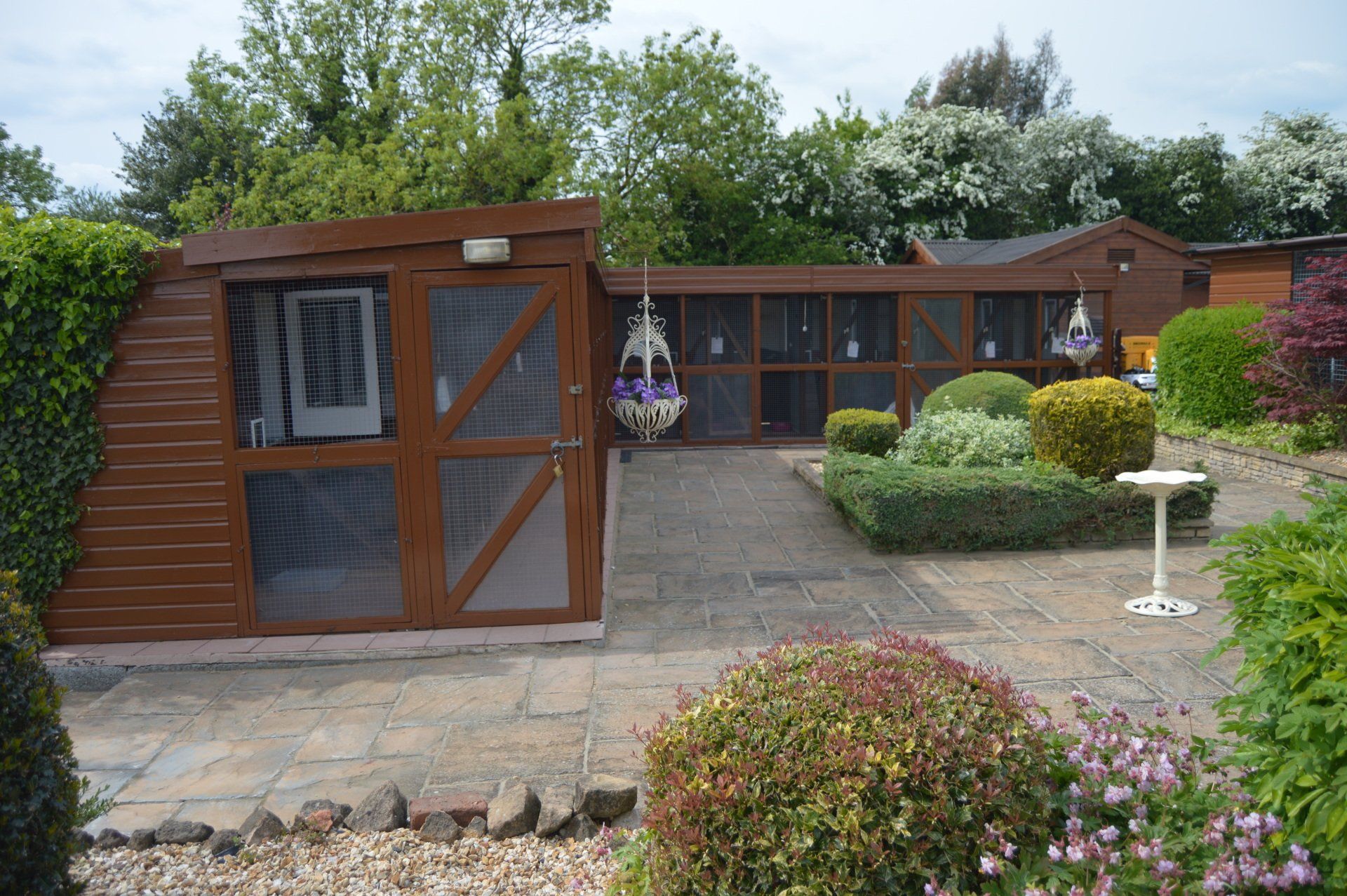 The Cattery photo example 9