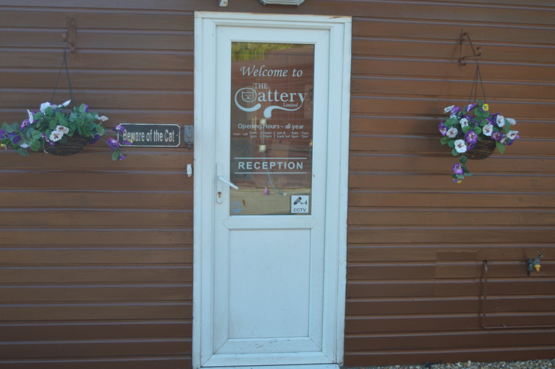 The Cattery photo example 5