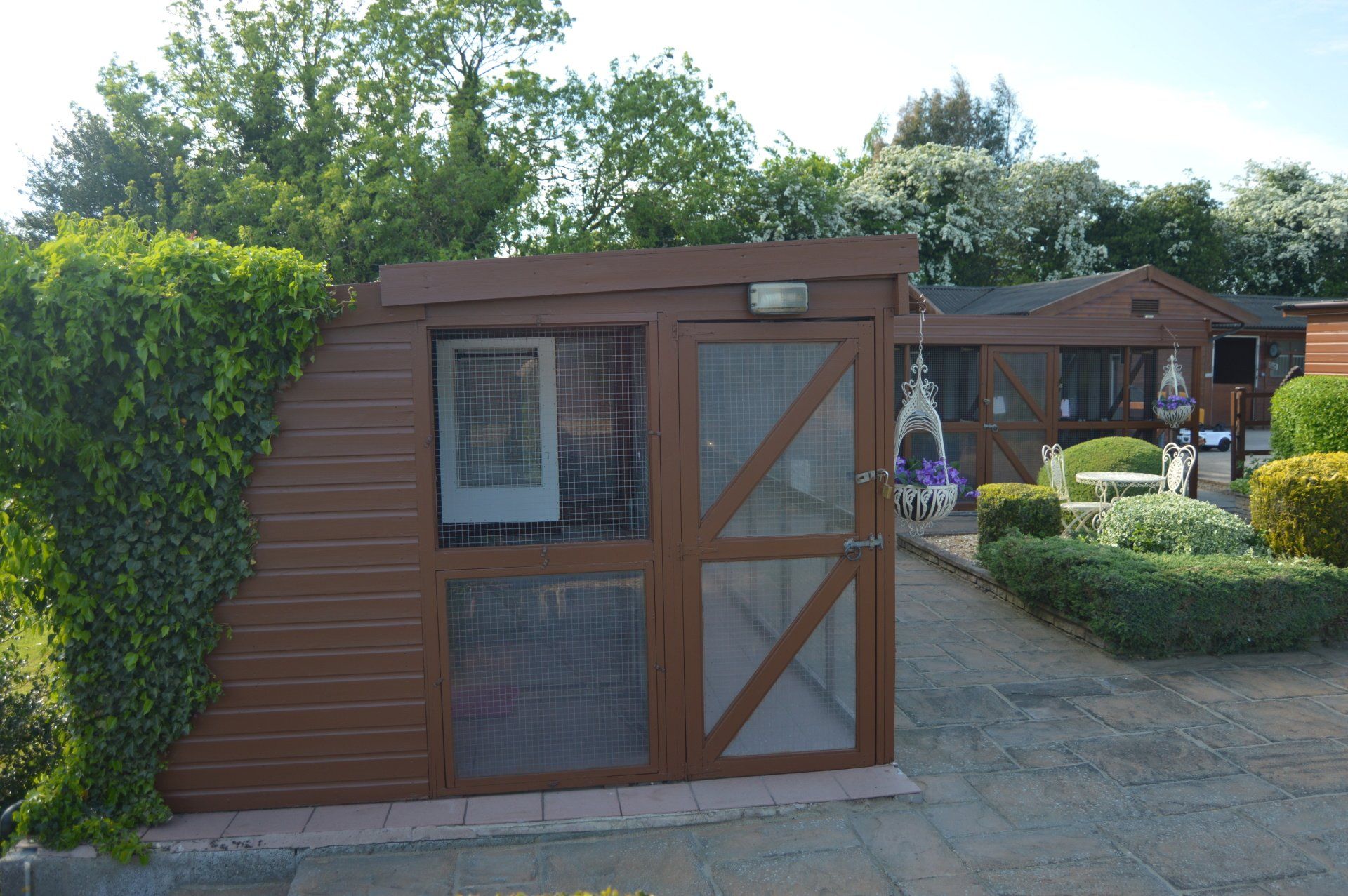 The Cattery photo example 1