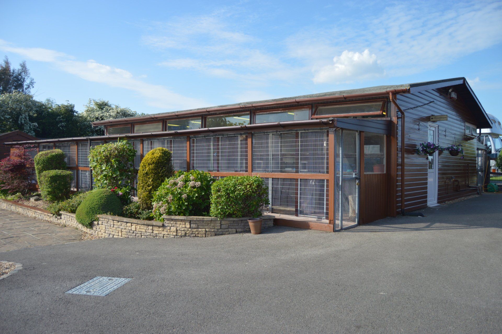 The Cattery photo example 3