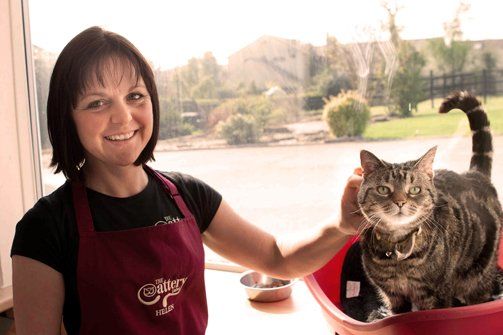 Cattery services