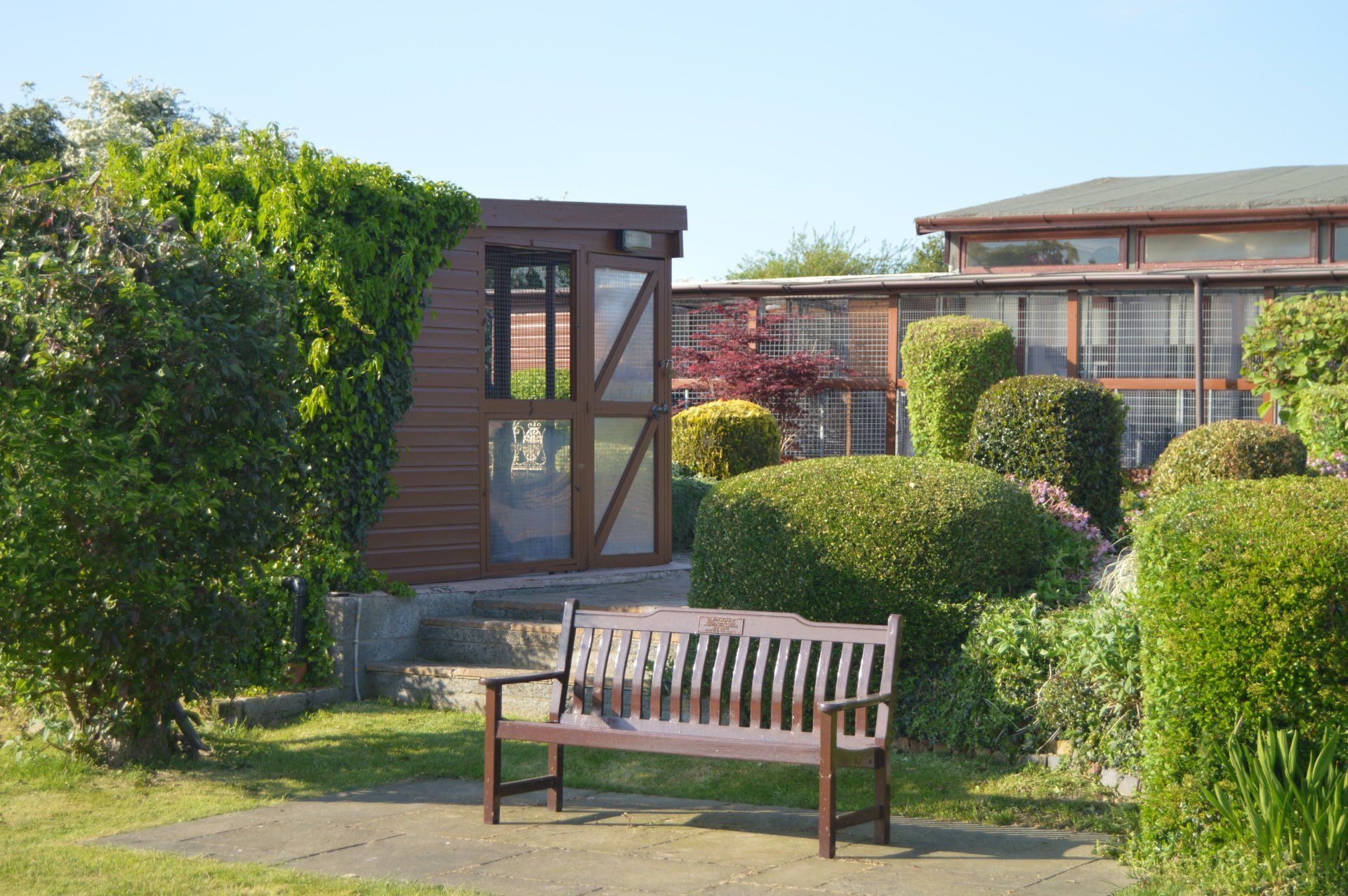 The Cattery photo example 8