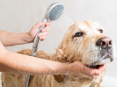 Bathing