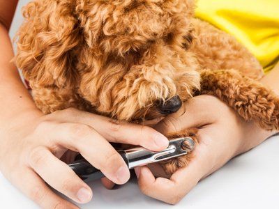 Nail clipping