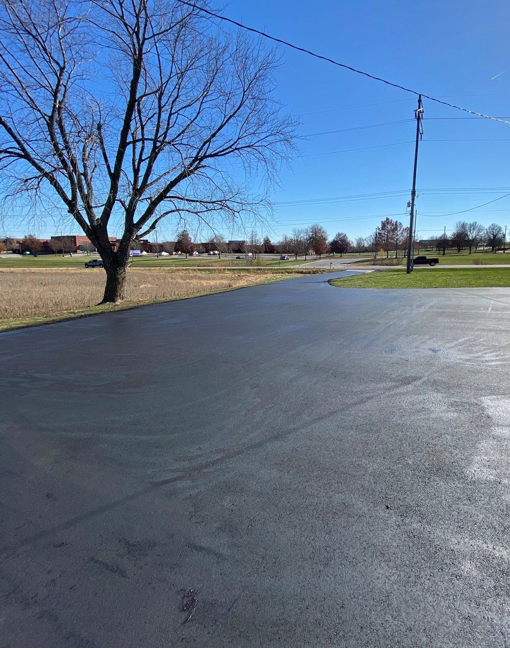 Empty paved area beside a grassy field with bare trees under a clear blue sky.