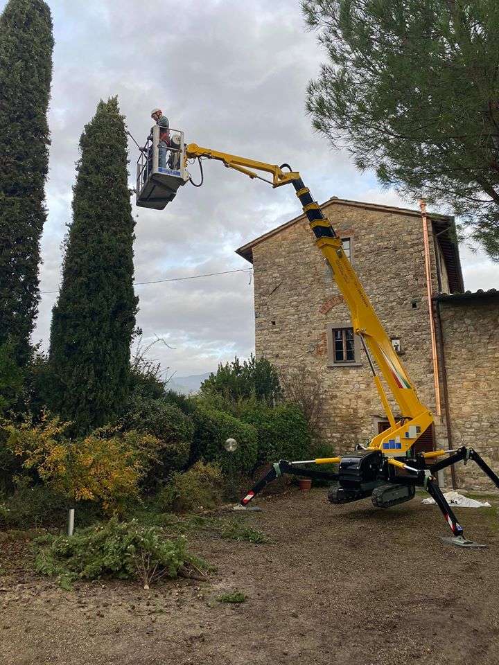 Noleggio piattaforma aerea per taglio arbusti