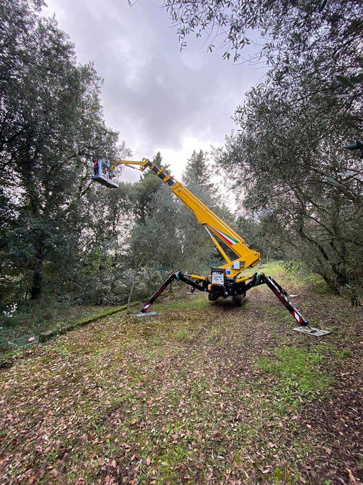 Piattaforma aerea per lavori di agraria