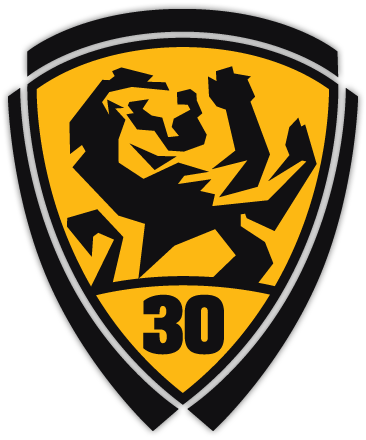 A shield with a lion and the number 30 on it