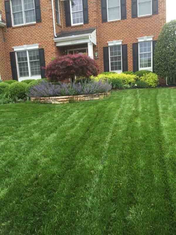 Landscaping in Winchester, VA