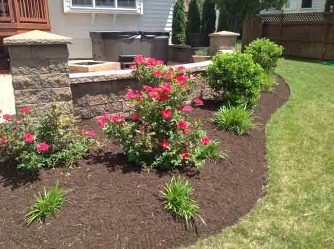 Roses Landscaping in Winchester, VA