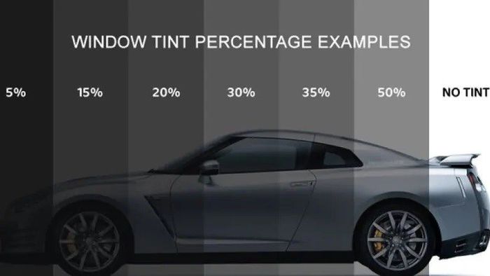 Window Tint Perventage — Dallas, TX — Alta Mere Dallas Window Tint Perventage — Dallas, TX — Alta Mere Dallas