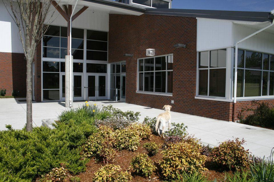 Glasses and Doors of Building — Eugene, OR — Lane County Glass
