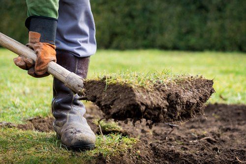 danville landscape installation