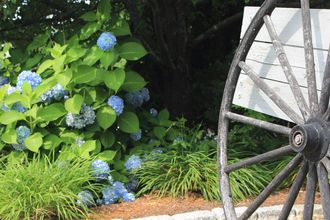House - Landscaping Company in Waquoit, MA