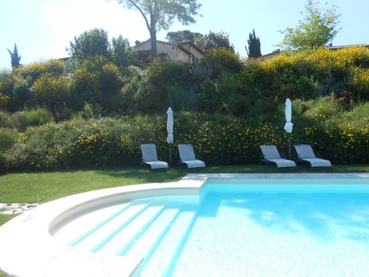 vista piscina in agriturismo a Colle di Val D'elsa, SI