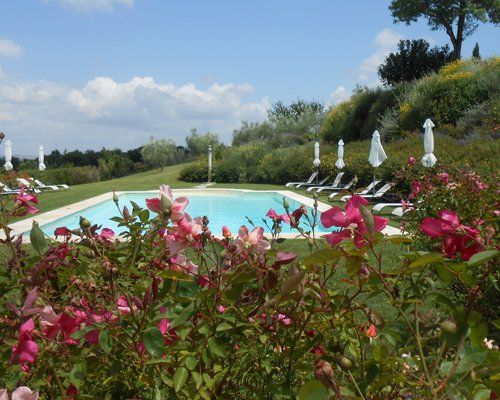 vista piscina in agriturismo a Colle di Val D'elsa, SI