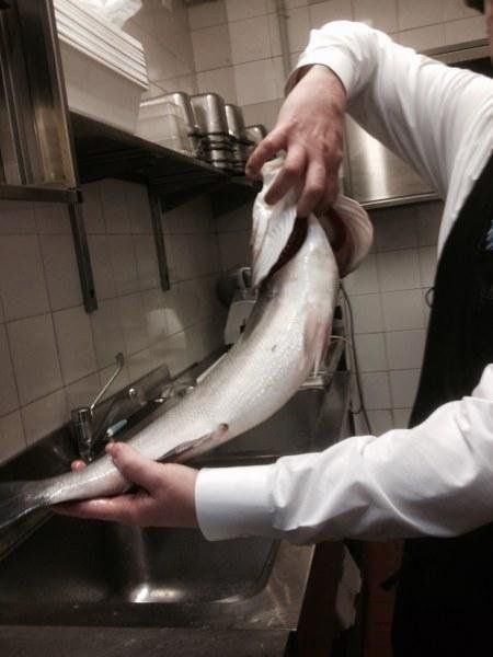 cook preparing fish