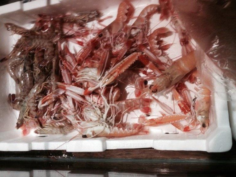 mixed shrimp