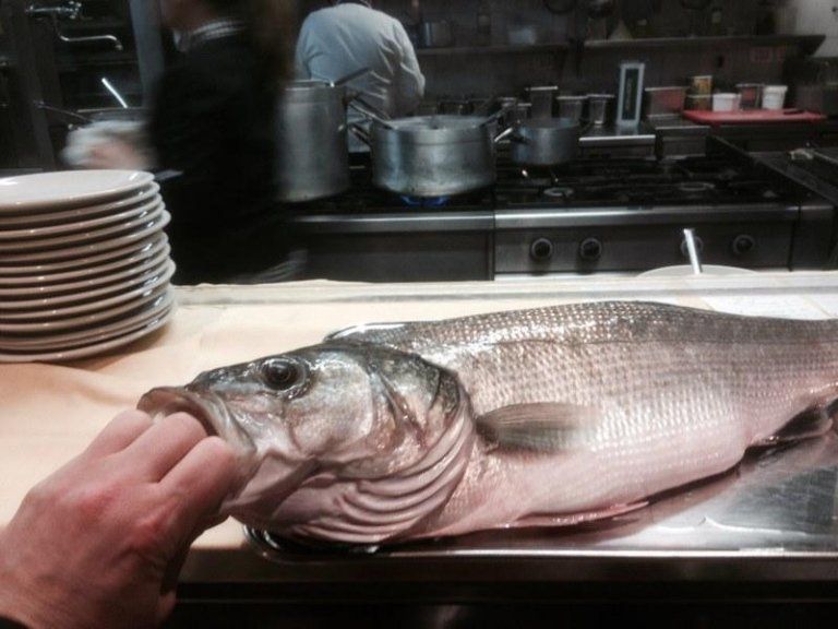 fish preparation