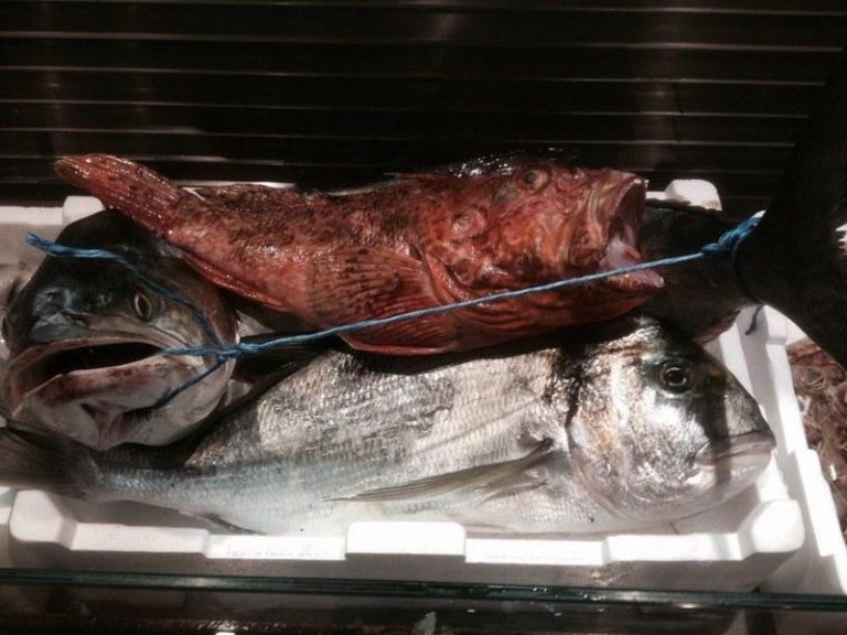 fresh fish on ice