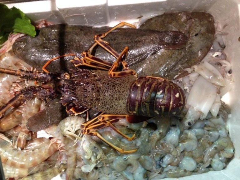 fish and seafood