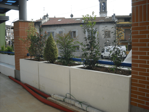 vasi con piante