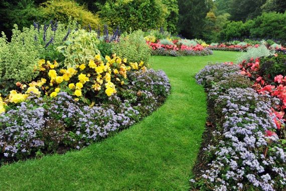 giardino con erba verde e fiori variopinti