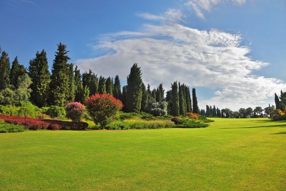 ampio giardino con alberi ad alto fusto