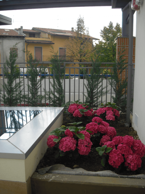 terrazzo fiorito