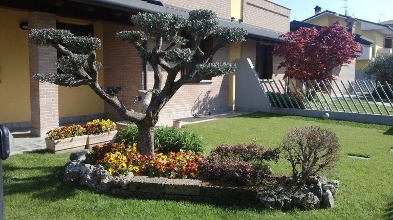 giardino privato con fiori e albero