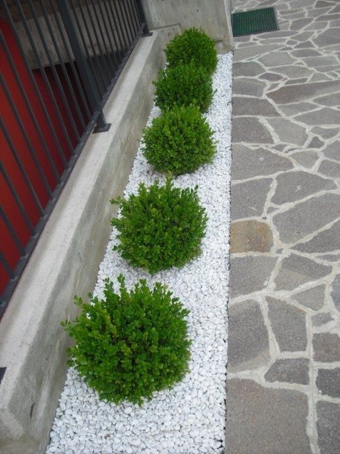 particolare di ingresso verde